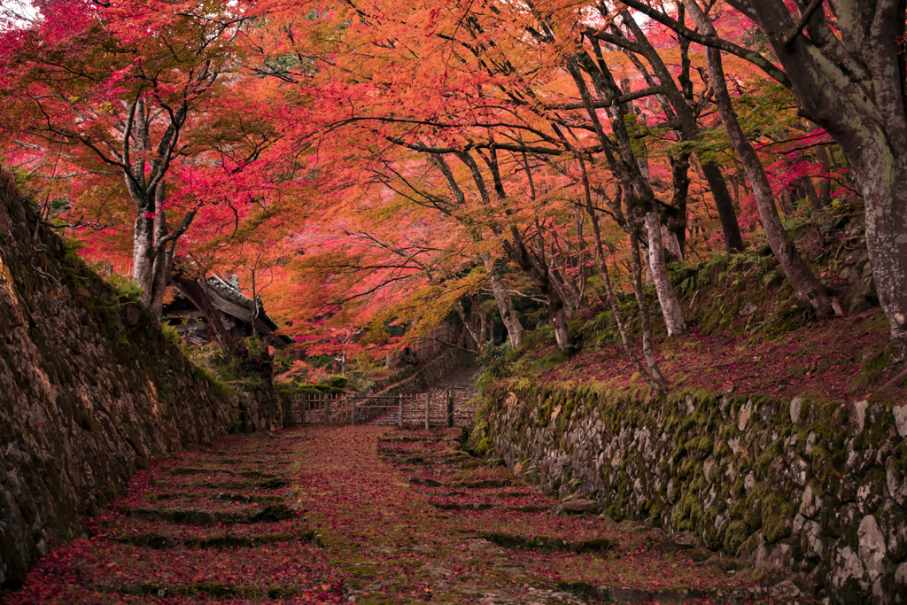 百済寺＠滋賀