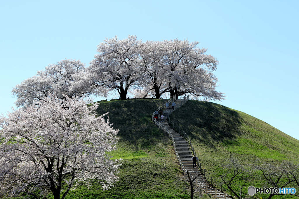 さきたま古墳公園