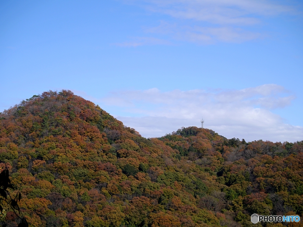 里山の紅葉②