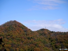 里山の紅葉②