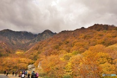 谷川岳（マチガ沢）