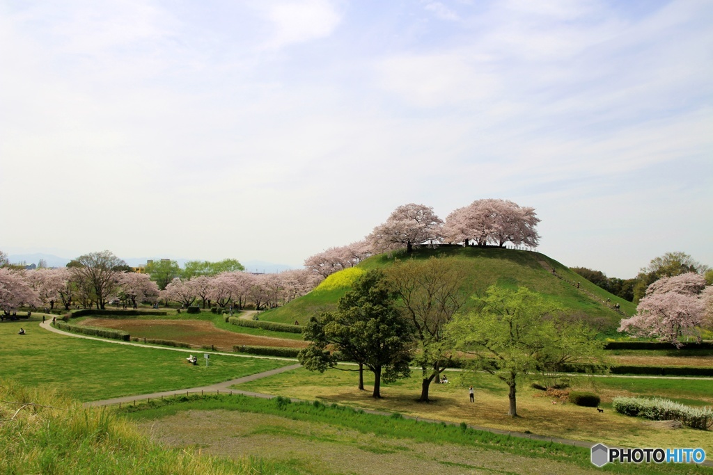 さきたま古墳公園