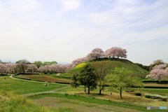 さきたま古墳公園