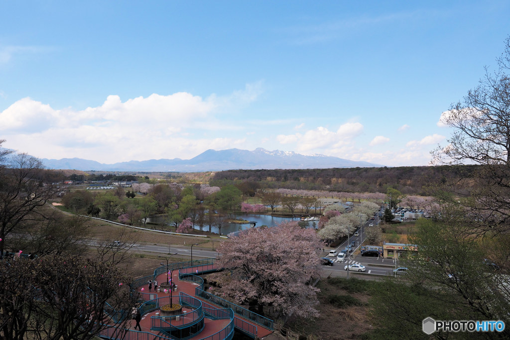 那珂川河畔公園