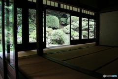 光前寺庭園②