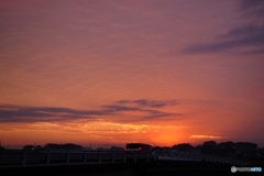 2020/11/06/夕焼け