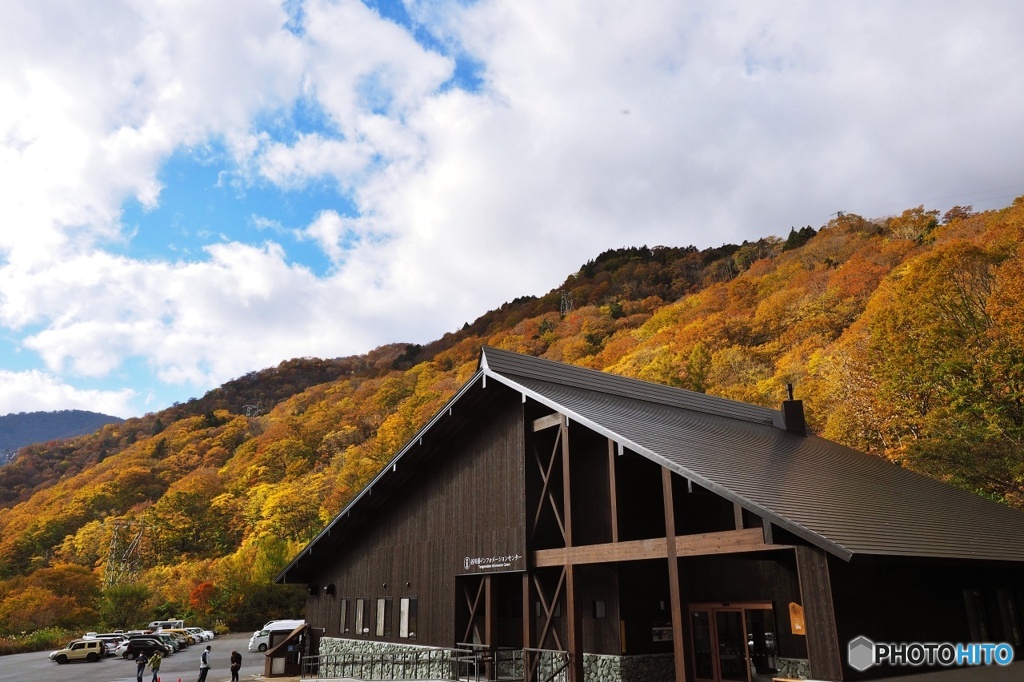 谷川岳の紅葉