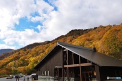 谷川岳の紅葉