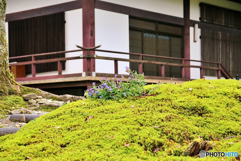 光前寺②