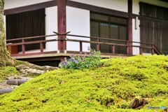 光前寺②