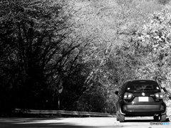 スズキ　イグニス