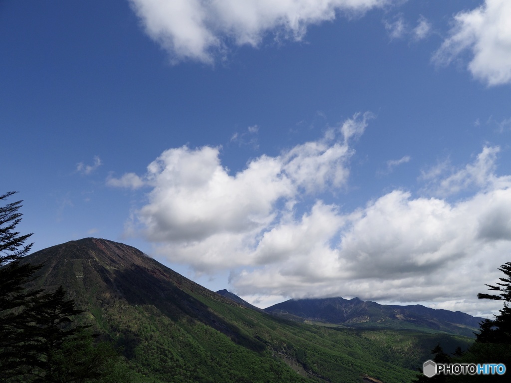 新緑の日光を行く