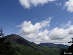 新緑の日光を行く