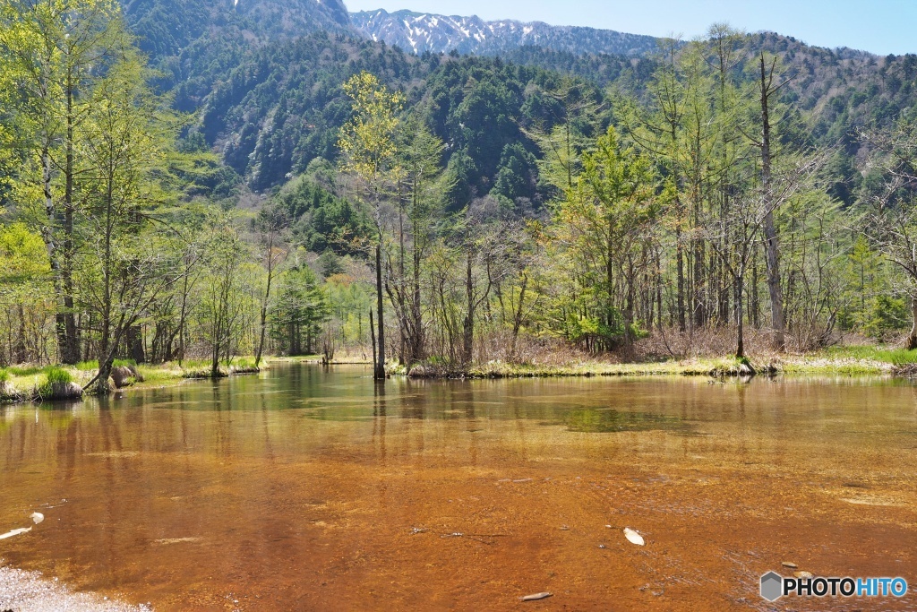 田代池