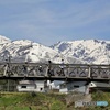 大出公園