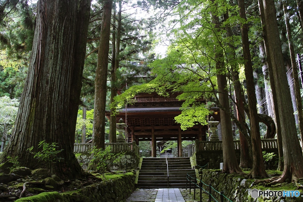 光前寺三門