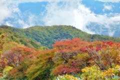 中の大倉尾根