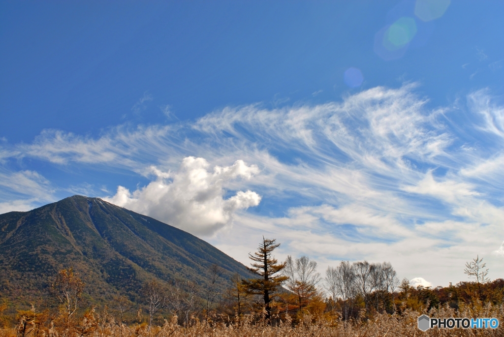 栃木県の魅力発信②