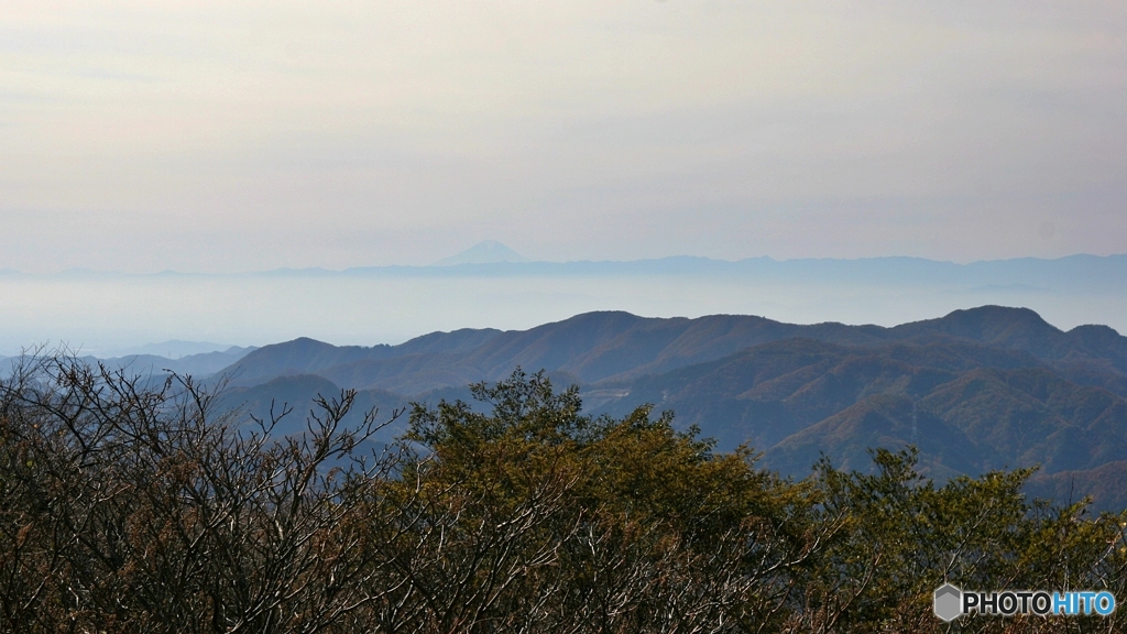 富士山見えました