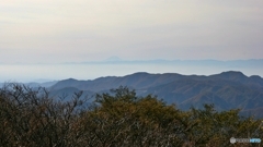 富士山見えました
