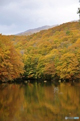 曲沢沼③ 曲沢沼③