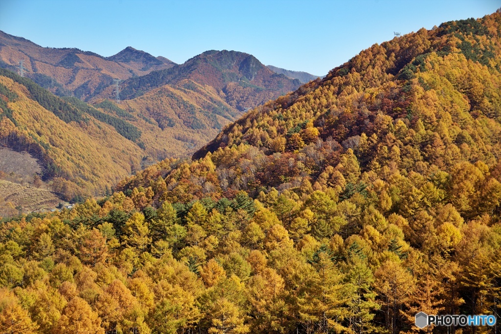 南相木村の秋②