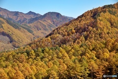 南相木村の秋②