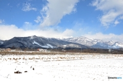 白馬村の風景③