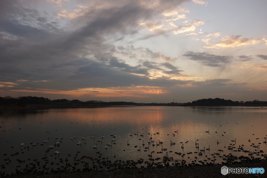 多々良沼（夕景）