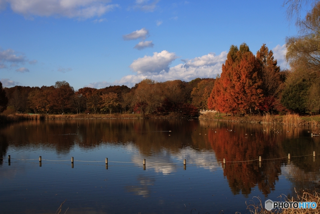 とちぎわんぱく公園