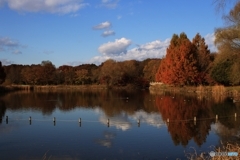 とちぎわんぱく公園