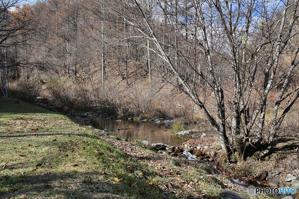 晩秋の渓谷②