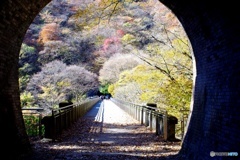 めがね橋④