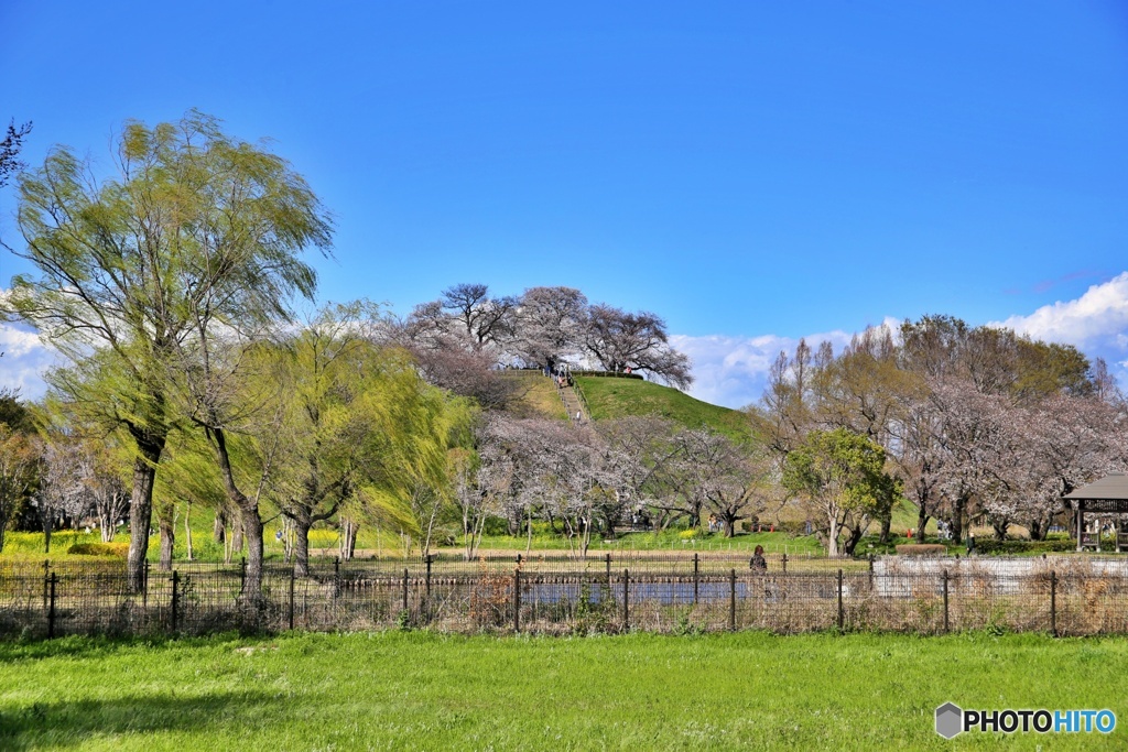 さきたま古墳公園