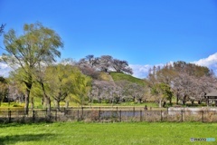 さきたま古墳公園