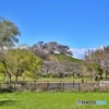 さきたま古墳公園