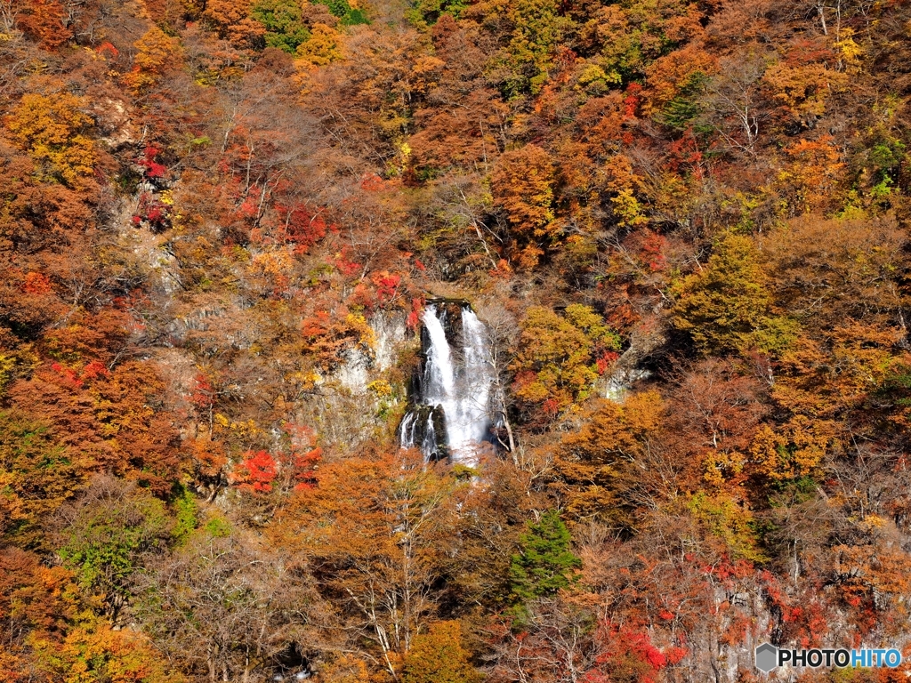 霧降の滝（上段）