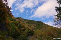 山王峠の秋