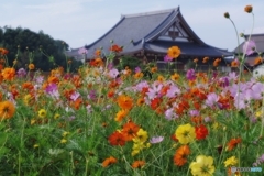 日本の風景
