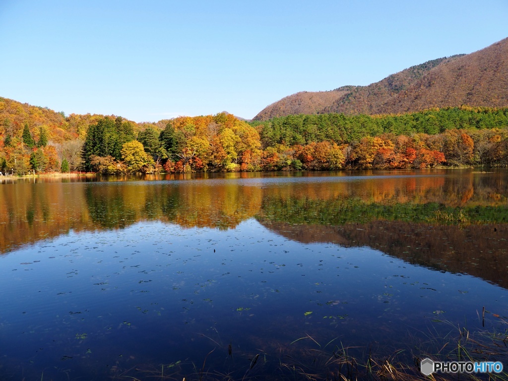 観音沼森林公園