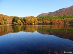 観音沼森林公園