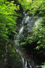 名もなき滝