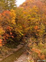 福島県南会津町の秋