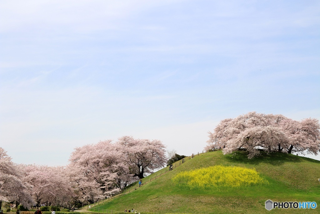 さきたま古墳公園②