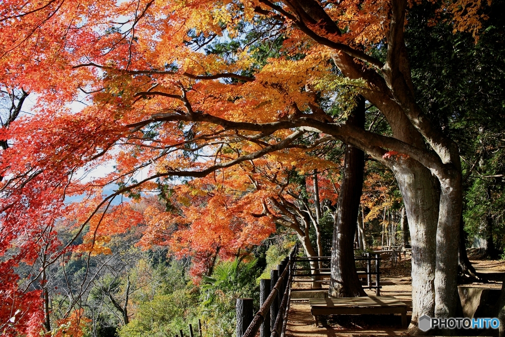 大平山（謙信平）