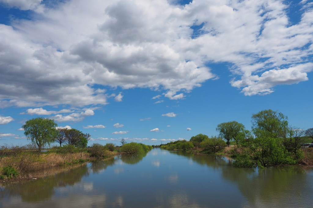 いつもの散歩道