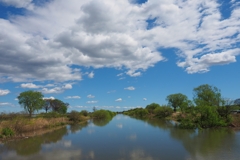 いつもの散歩道