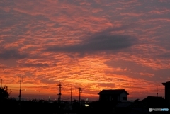 2020/11/06/夕焼け