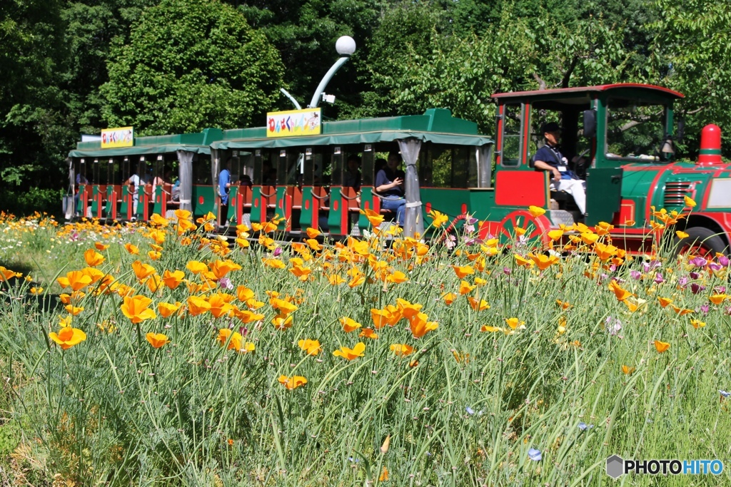 大人だって楽しい