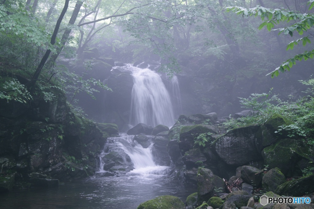 霧につつまれて